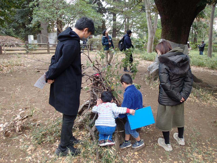 子ども樹木博士