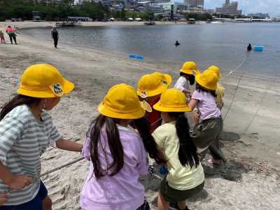 地引網引っ張る