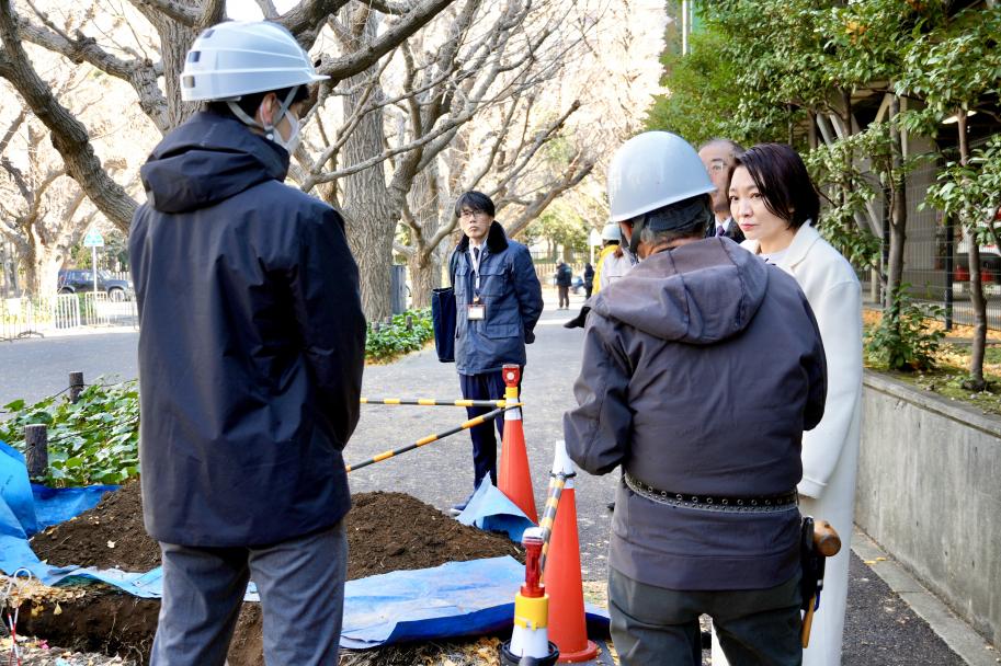 神宮外苑銀杏並木