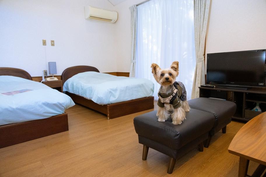 ルネッサ赤沢　施設②