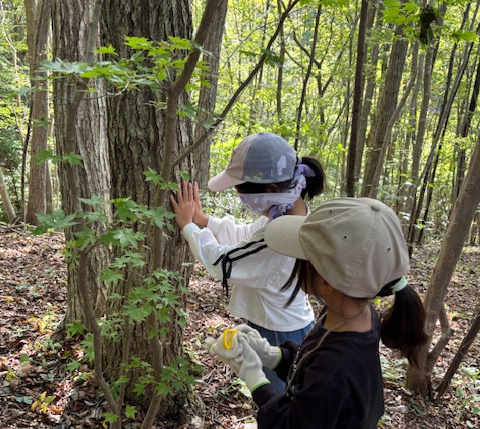 子どもたちが森で遊んでいる写真