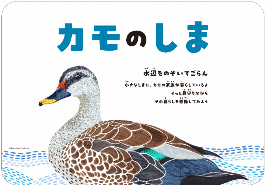 人工巣の説明①