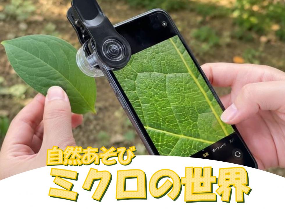 自然遊び