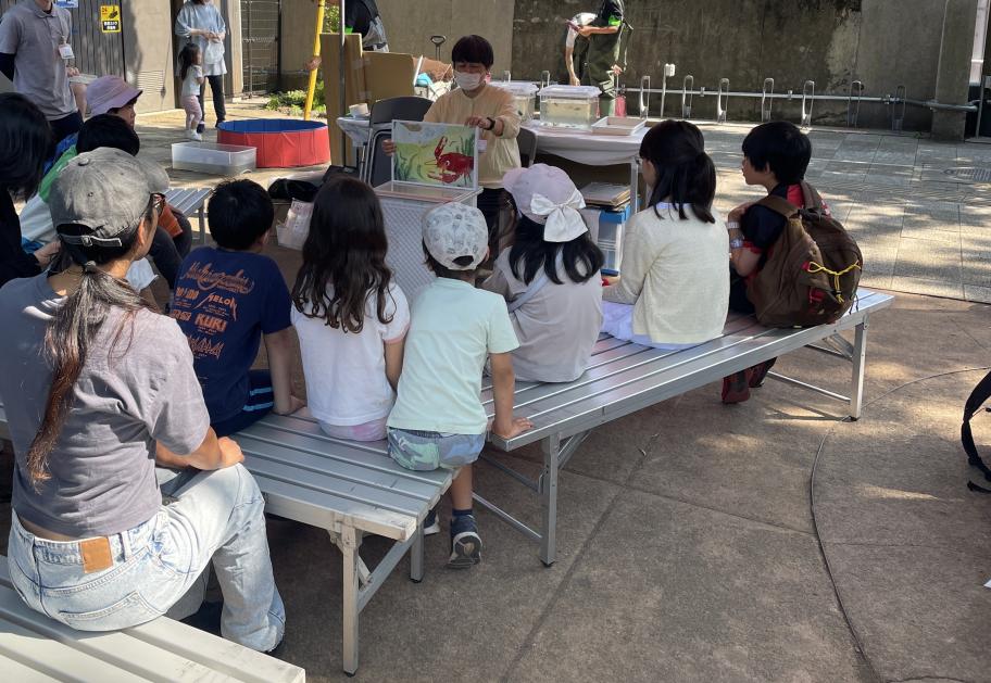 外来種問題を啓発する紙芝居