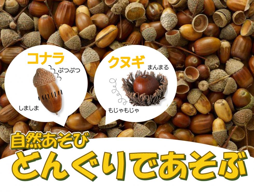 aikon