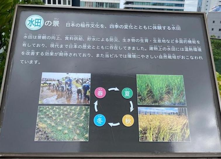 水田の景の説明