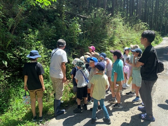 里山散策（区民の森）