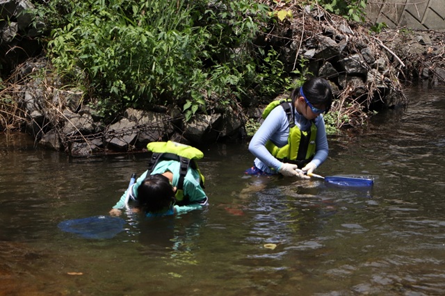 生きものさがし