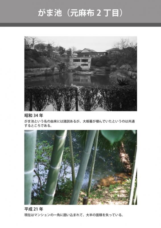 がま池（元麻布2丁目）