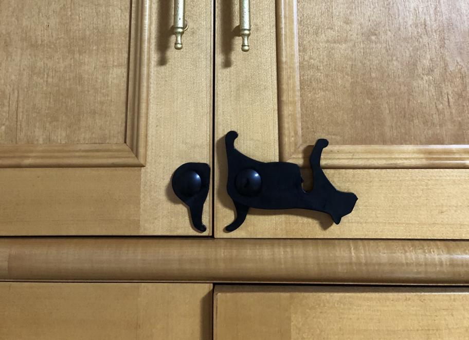 黒猫