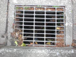 道路の雨水マス