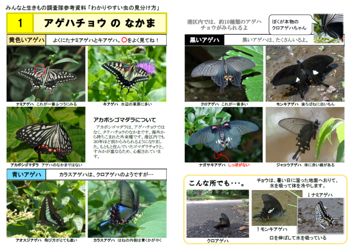 わかりやすい虫の見分け方