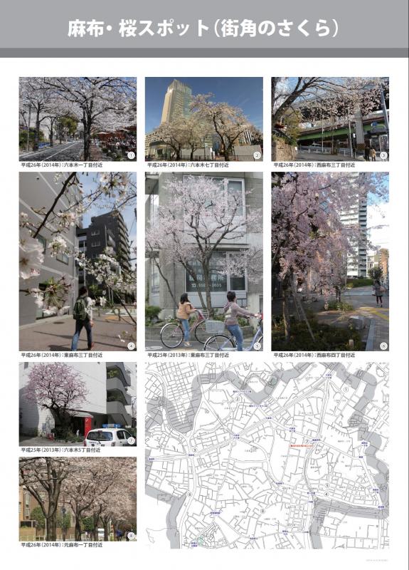 麻布・桜スポット（街角のさくら）
