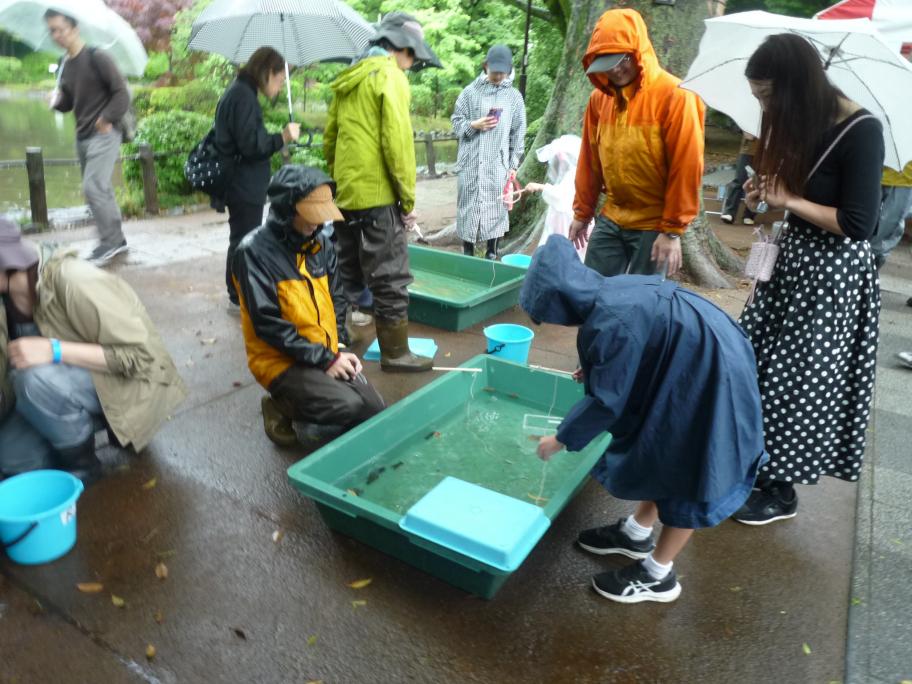 池の生きもの