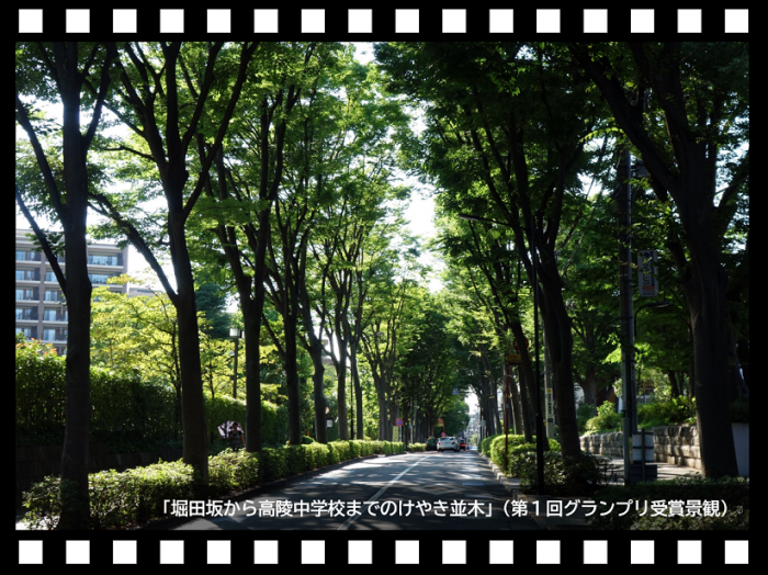 keikanselection_movie