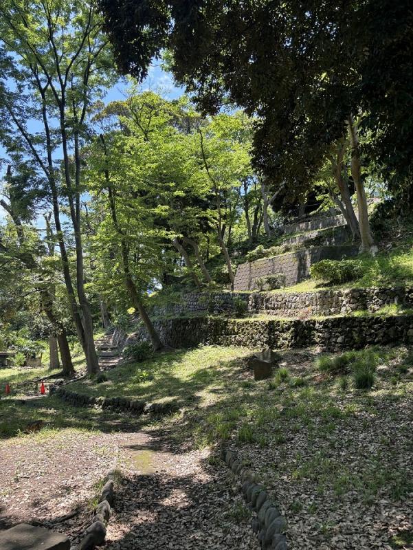 丸山古墳１