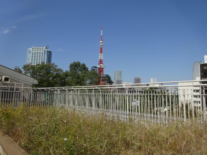 dsc06020