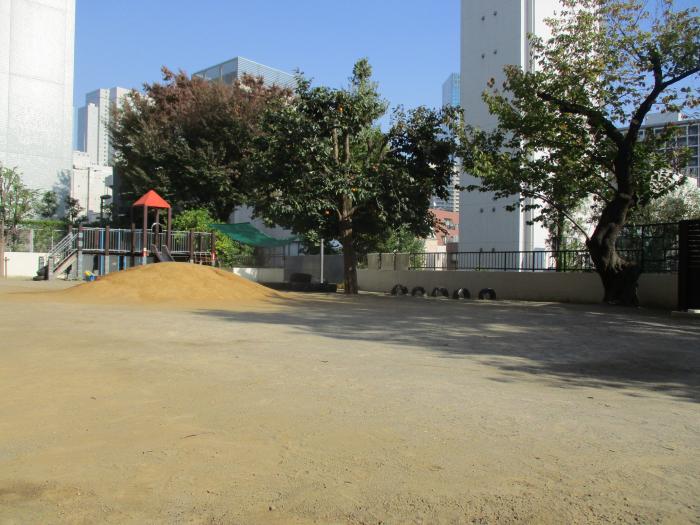 赤坂保育園園庭写真