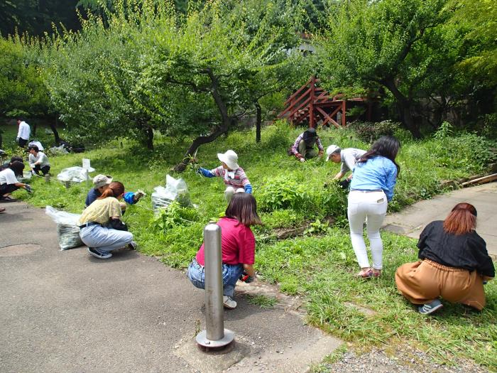 選択的除草3（2018年6月13日）