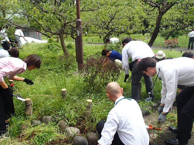 選択的除草（2018年9月12日）