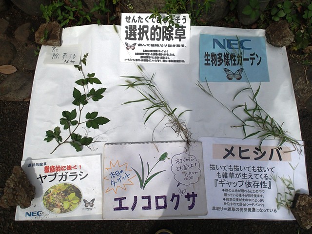 選択的除草ターゲット（2018年9月12日）