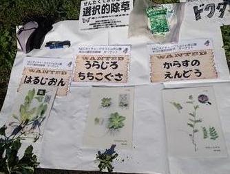 選択的除草ターゲット（2018年11月14日）