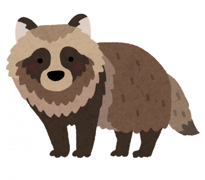 animal_tanuki