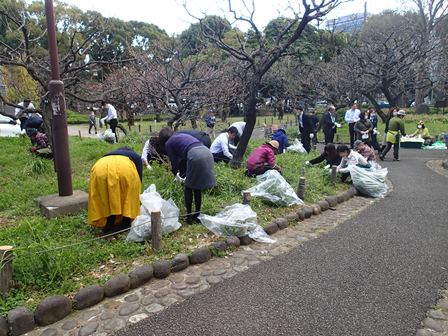 選択的除草（2019年3月13日）
