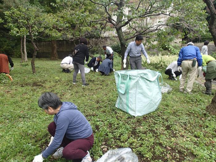選択的除草（2019年10月16日）