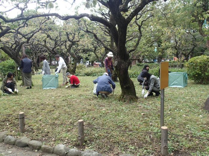 選択的除草（2019年11月13日）