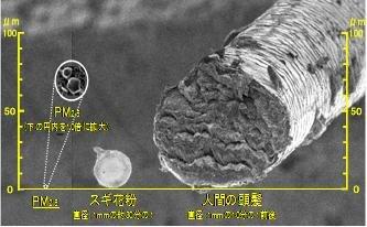 微小粒子状物質中