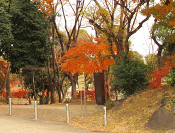 ペンネーム「紅葉」の由来となった紅葉山（現在の東京タワー周辺）