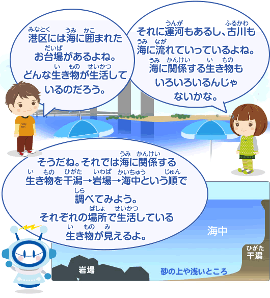 港区には海に囲まれたお台場があるよね。どんな生き物が生活しているのだろう？調べてみよう。