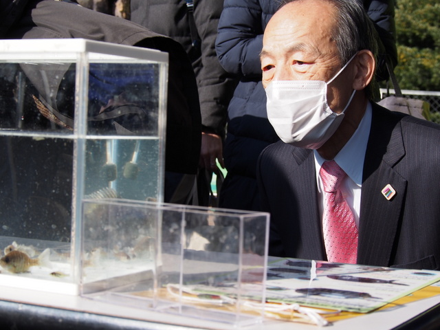 ミニ水族館を見る区長