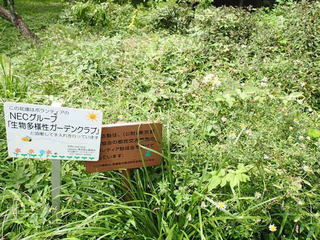 生物多様性ガーデン
