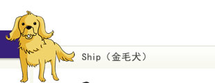 Ship（金毛犬）