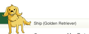 Ship (Golden Retriever)