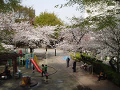 写真：三河台公園の外観