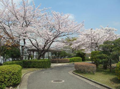 芝浦中央公園A面