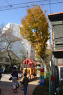 三田松坂児童遊園のスベリ台