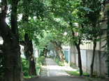 雷神山児童遊園の高台の通り道