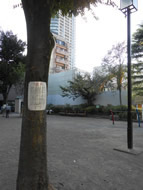 公園の木に「注意の張り紙」