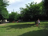 亀塚公園の広い芝生