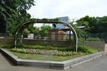 亀塚公園内の花壇