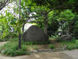 亀塚公園の亀石