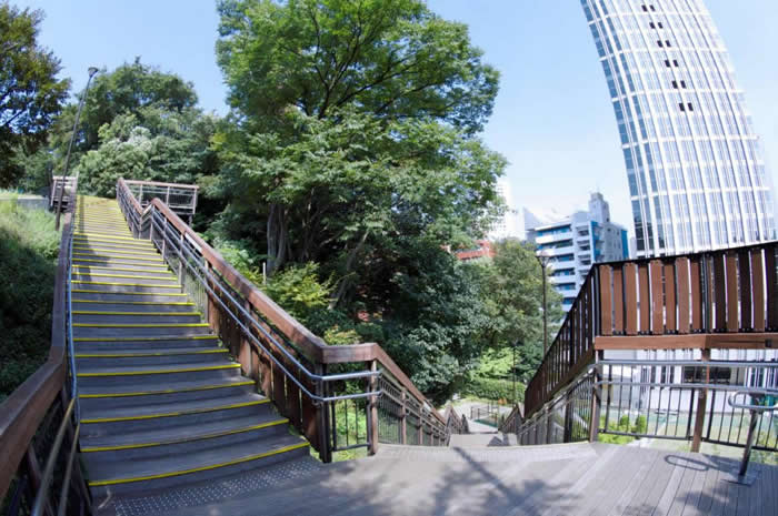 亀塚公園の階段