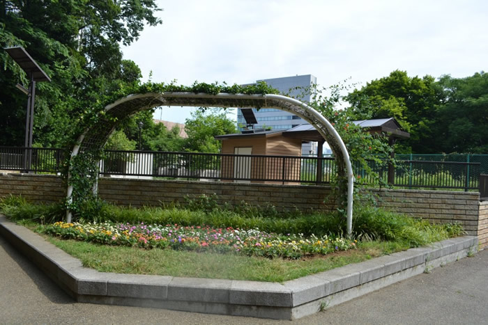 亀塚公園内の花壇