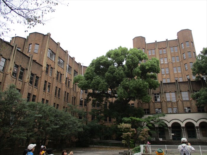 国立保健医療科学院