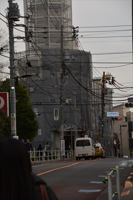 写真・東方面